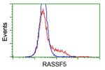 RASSF5 Antibody in Flow Cytometry (Flow)