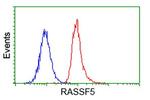 RASSF5 Antibody in Flow Cytometry (Flow)