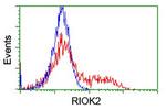 RIOK2 Antibody in Flow Cytometry (Flow)