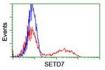 SETD7 Antibody in Flow Cytometry (Flow)