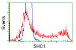 SHC1 Antibody in Flow Cytometry (Flow)