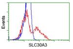 SLC30A3 Antibody in Flow Cytometry (Flow)
