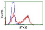 STK39 Antibody in Flow Cytometry (Flow)