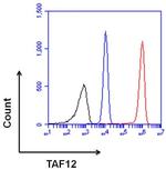 TAF12 Antibody in Flow Cytometry (Flow)
