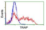 TRAIP Antibody in Flow Cytometry (Flow)