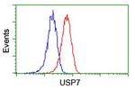 USP7 Antibody in Flow Cytometry (Flow)