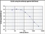 H3K79me2 Antibody in ELISA (ELISA)