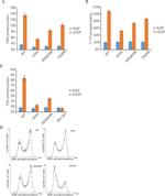 Phospho-EGFR (Tyr992) Antibody in Flow Cytometry (Flow)