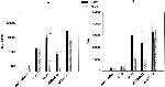 IFN gamma Antibody in ELISA (ELISA)