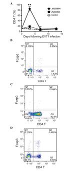 CD25 Antibody in Flow Cytometry (Flow)