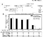 CD366 (TIM3) Antibody in Neutralization (Neu)