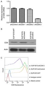 CD9 Antibody in Flow Cytometry (Flow)