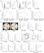 IL-13 Antibody in Neutralization (Neu)