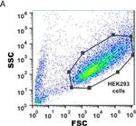 Human IgG Fc Cross-Adsorbed Secondary Antibody in Flow Cytometry (Flow)