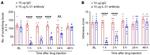 IL-31 Antibody in Neutralization (Neu)