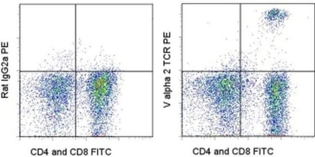TCR V alpha 2 Antibody in Flow Cytometry (Flow)