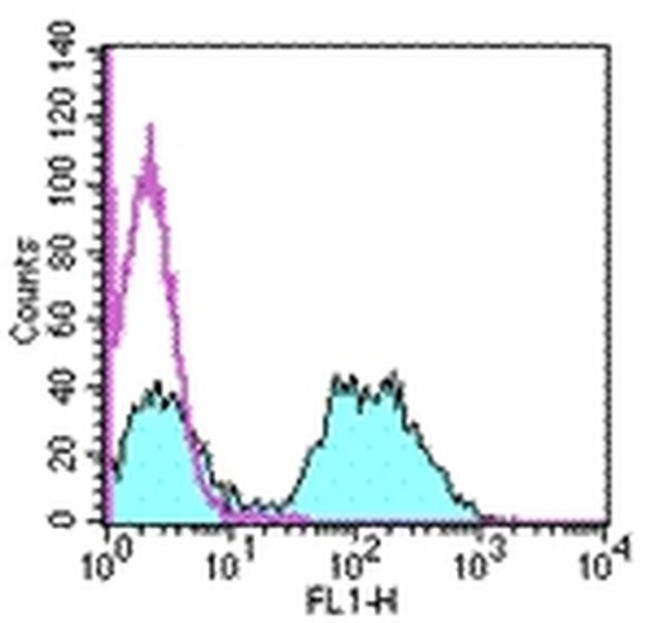 MHC Class II (I-Ek) Antibody in Flow Cytometry (Flow)