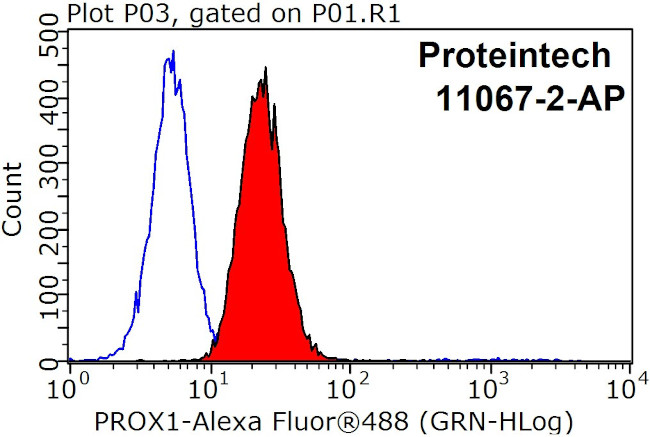 PROX1 Antibody in Flow Cytometry (Flow)