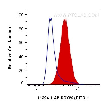 DDX20 Antibody in Flow Cytometry (Flow)