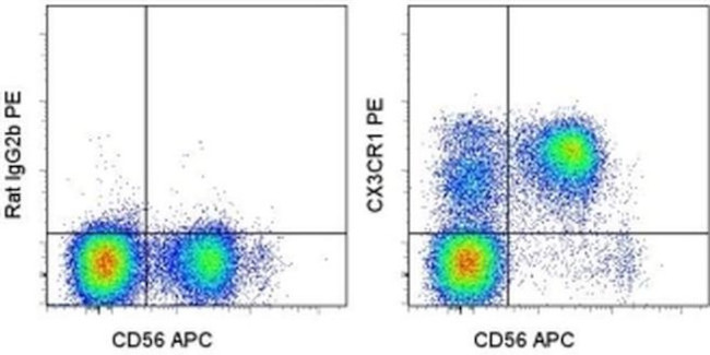 CX3CR1 Antibody in Flow Cytometry (Flow)