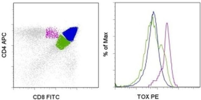 TOX Antibody in Flow Cytometry (Flow)