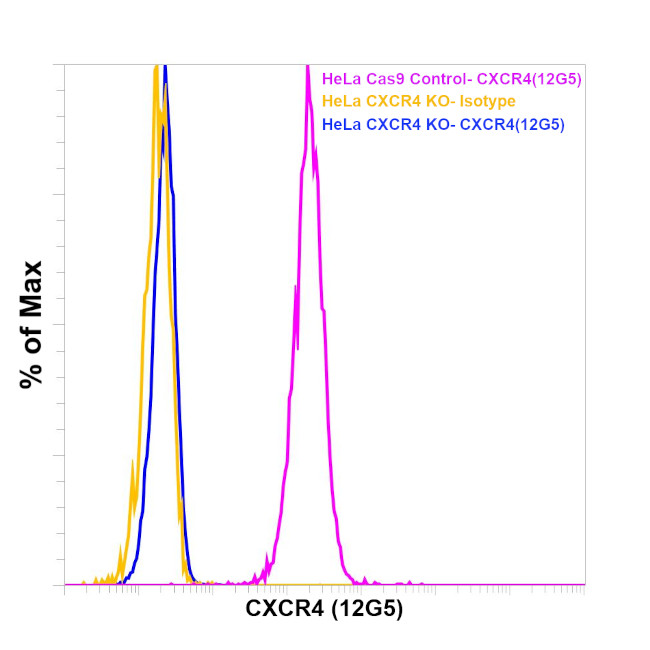 CD184 (CXCR4) Antibody
