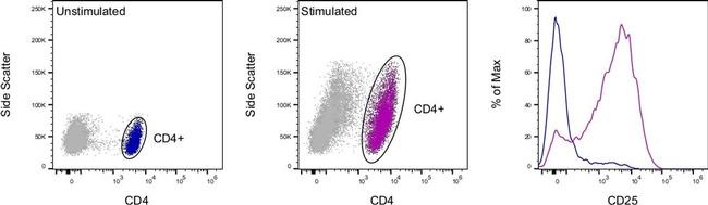 CD25 Antibody