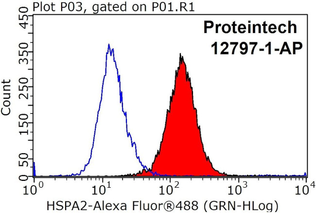 HSPA2 Antibody in Flow Cytometry (Flow)