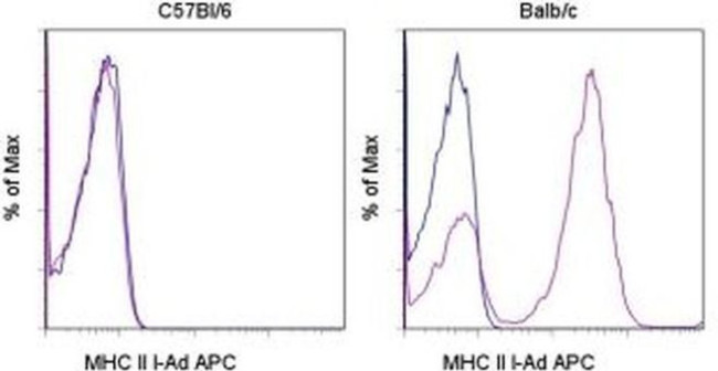 MHC Class II I-Ad Antibody in Flow Cytometry (Flow)