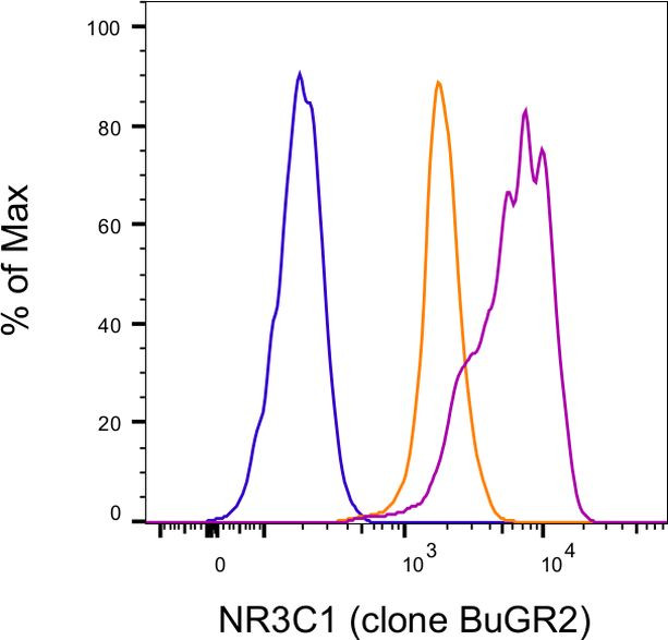 Glucocorticoid receptor (NR3C1) Antibody