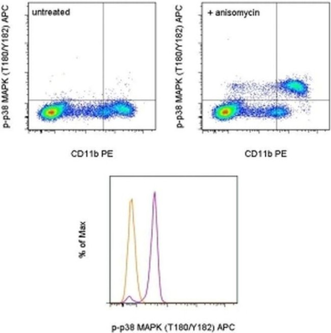 Phospho-p38 MAPK (Thr180, Tyr182) Antibody in Flow Cytometry (Flow)