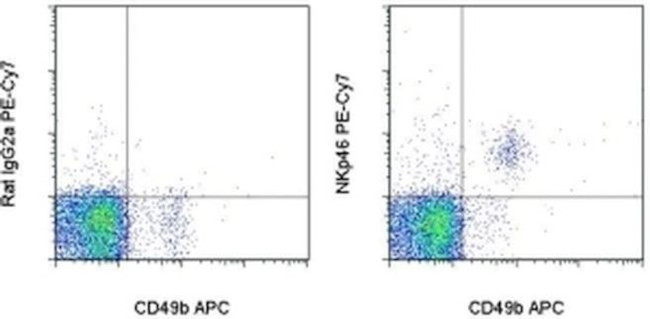 CD335 (NKp46) Monoclonal Antibody (29A1.4), PE-Cyanine7 (25-3351-82)