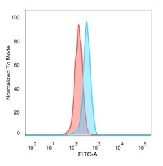 GTF2H2/BTF2/TFIIH Basal Transcription Factor Antibody in Flow Cytometry (Flow)