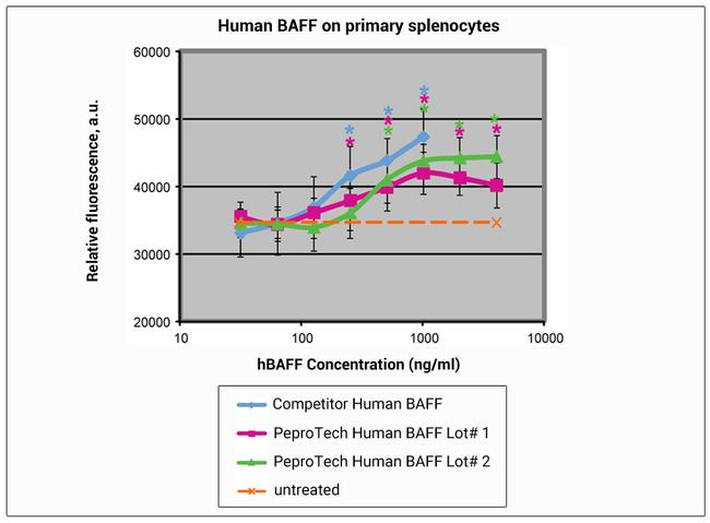 Human BAFF (BLyS) Protein in Functional Assay (FN)