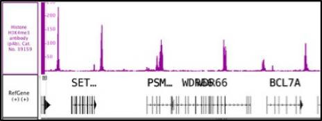 Histone H3K4me3 Antibody in ChIP-sequencing (ChIP-Seq)