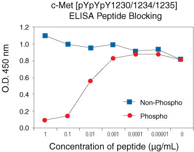 Phospho-c-Met (Tyr1230, Tyr1234, Tyr1235) Antibody in peptide-ELISA (pep-ELISA)