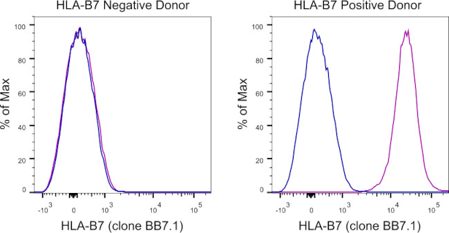 HLA-B7 Antibody