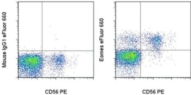 EOMES Antibody in Flow Cytometry (Flow)