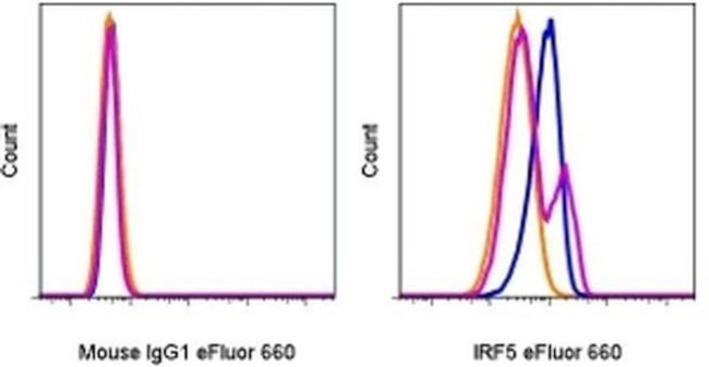 IRF5 Antibody in Flow Cytometry (Flow)