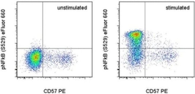 Phospho-NFkB p65 (Ser529) Antibody in Flow Cytometry (Flow)