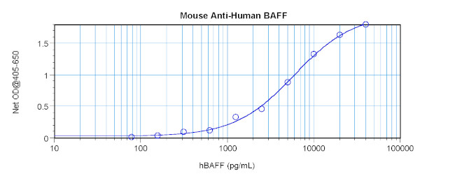 BAFF Antibody in ELISA (ELISA)