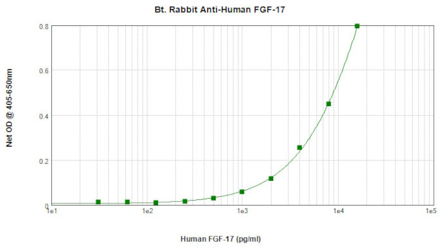 FGF17 Antibody in ELISA (ELISA)
