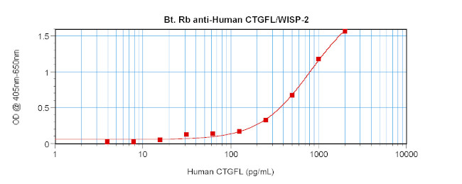 WISP2 Antibody in ELISA (ELISA)