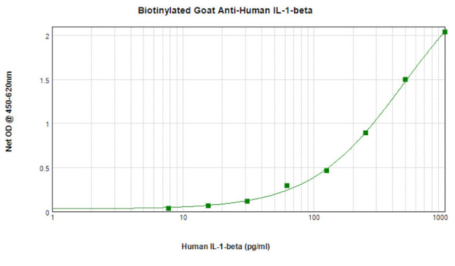 IL-1 beta Antibody in ELISA (ELISA)