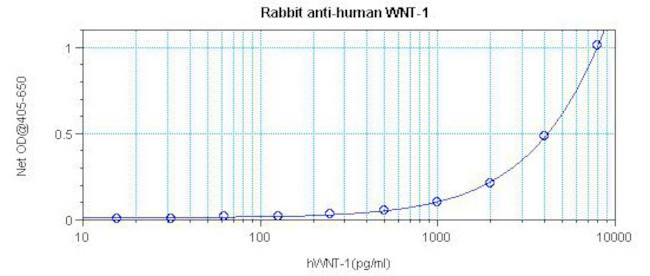 WNT1 Antibody in ELISA (ELISA)