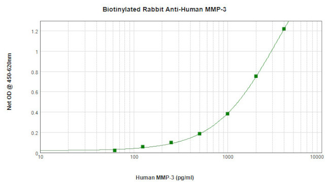 MMP3 Antibody in ELISA (ELISA)