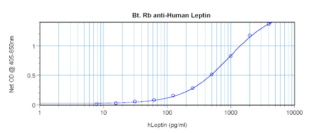 Leptin Antibody in ELISA (ELISA)