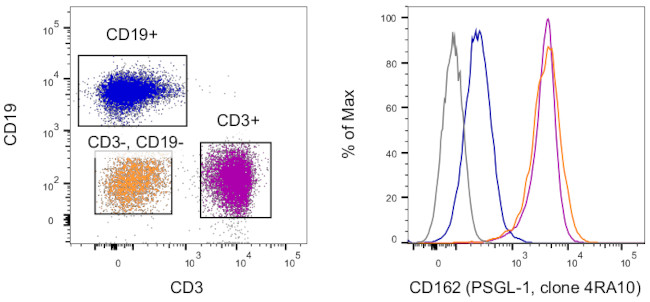 CD162 (PSGL-1) Antibody