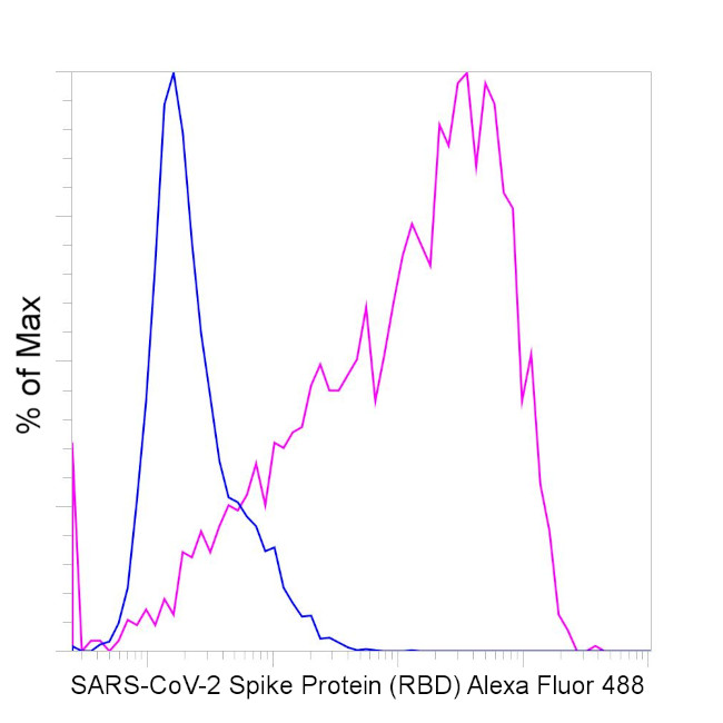 SARS-CoV-2 Spike Protein (RBD) Recombinant Monoclonal Antibody (P05DHu),  Alexa Fluor™ 488 (53-6490-82)