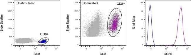 CD25 Antibody